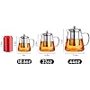 Glass Teapot Stovetop 18.6 OZ, Borosilicate Clear Tea Kettle with Removable 18/8 Stainless Steel Infuser,