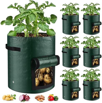 B0BYT45MQ1-019cba5a-9b74-4494-b628-77efc5754f9c