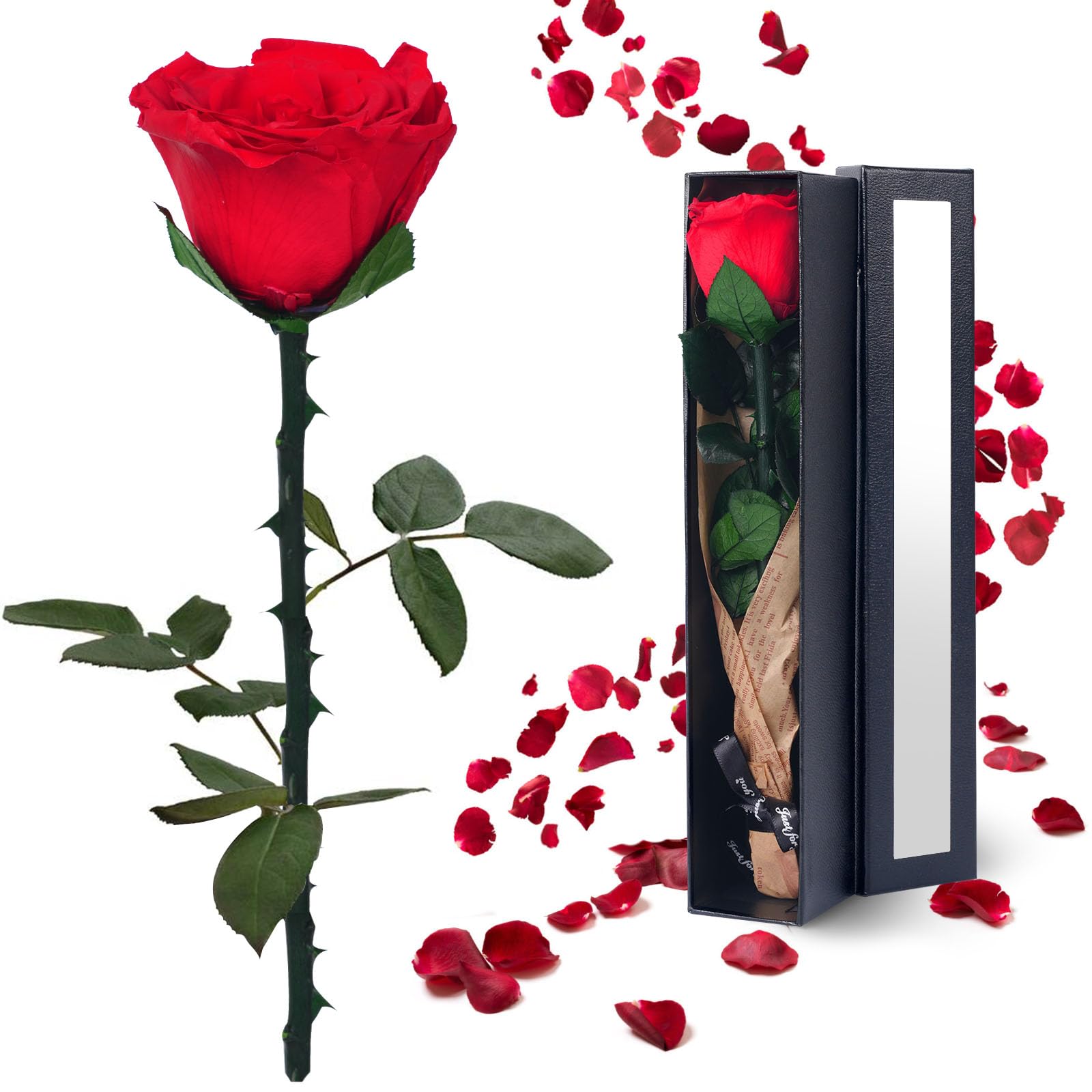 Black Preserved Flowers Gifts for Women: Roses for Birthday Wedding Gift for Girlfriend Wife Grandma Mom