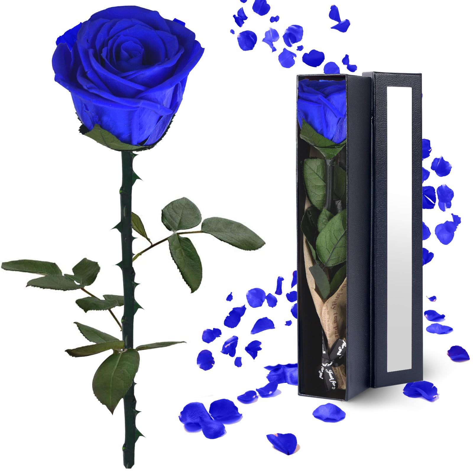 Black Preserved Flowers Gifts for Women: Roses for Birthday Wedding Gift for Girlfriend Wife Grandma Mom