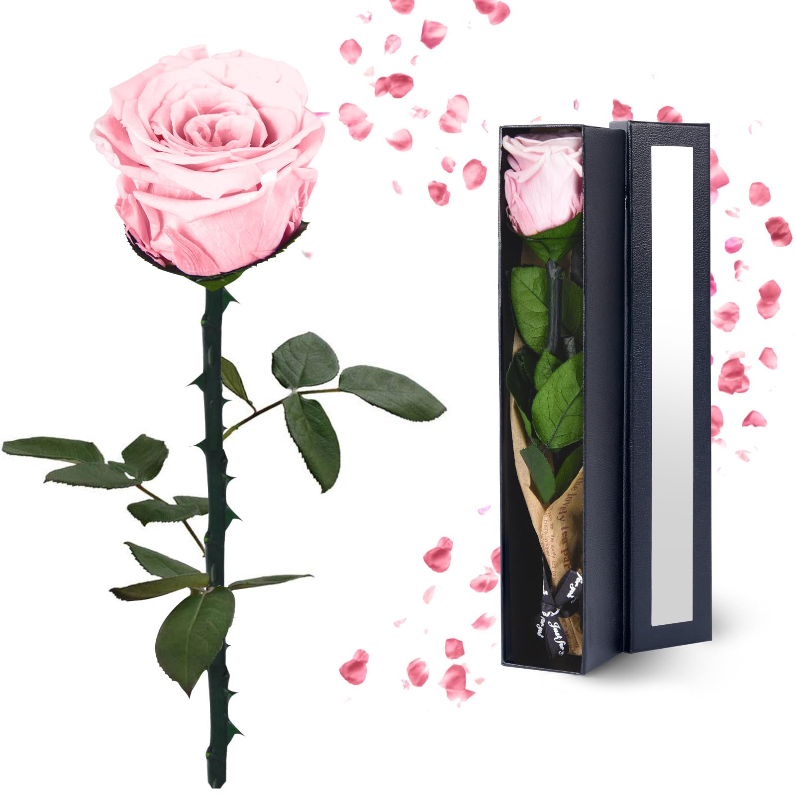 Black Preserved Flowers Gifts for Women: Roses for Birthday Wedding Gift for Girlfriend Wife Grandma Mom