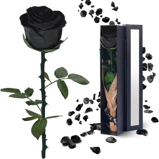 Black Preserved Flowers Gifts for Women: Roses for Birthday Wedding Gift for Girlfriend Wife Grandma Mom