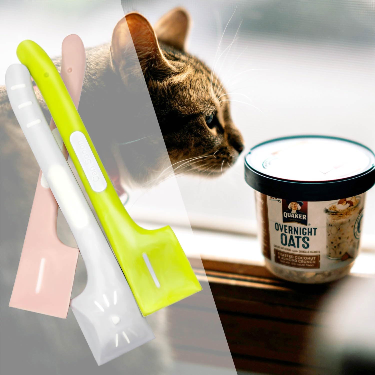 Tenalleys 3 Pcs Pet Food Can Supplies Scoop Food Canned Mixing Spoons Mini Spatula Spoon for Dogs and Cats