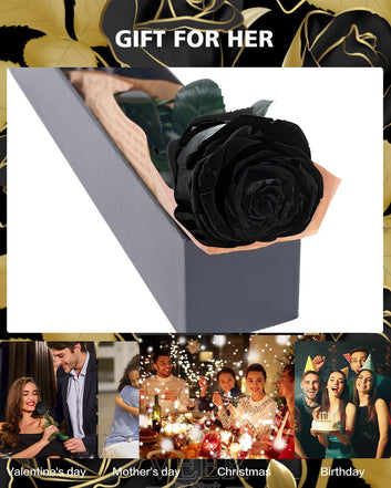 Black Preserved Flowers Gifts for Women: Roses for Birthday Wedding Gift for Girlfriend Wife Grandma Mom
