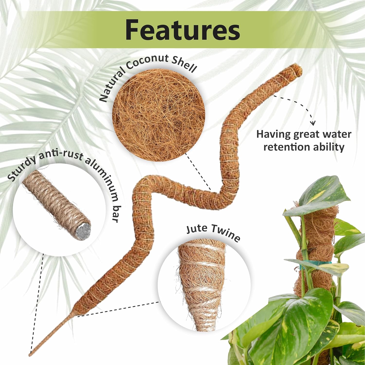 30 Inches Bendable 2 Pack Moss Pole Monstera Plant Support Stakes - Moss Poles for Climbing Plants, Plant Stakes for Indoor Plants - Coco Coir Pole Moss Stick for Monstera, Pothos.