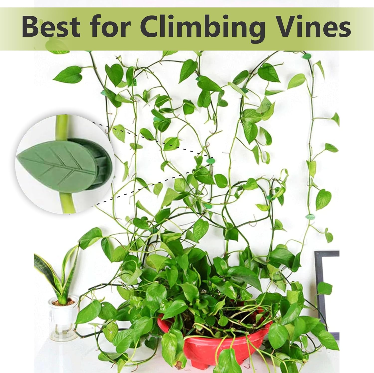 30 Inches Bendable 2 Pack Moss Pole Monstera Plant Support Stakes - Moss Poles for Climbing Plants, Plant Stakes for Indoor Plants - Coco Coir Pole Moss Stick for Monstera, Pothos.