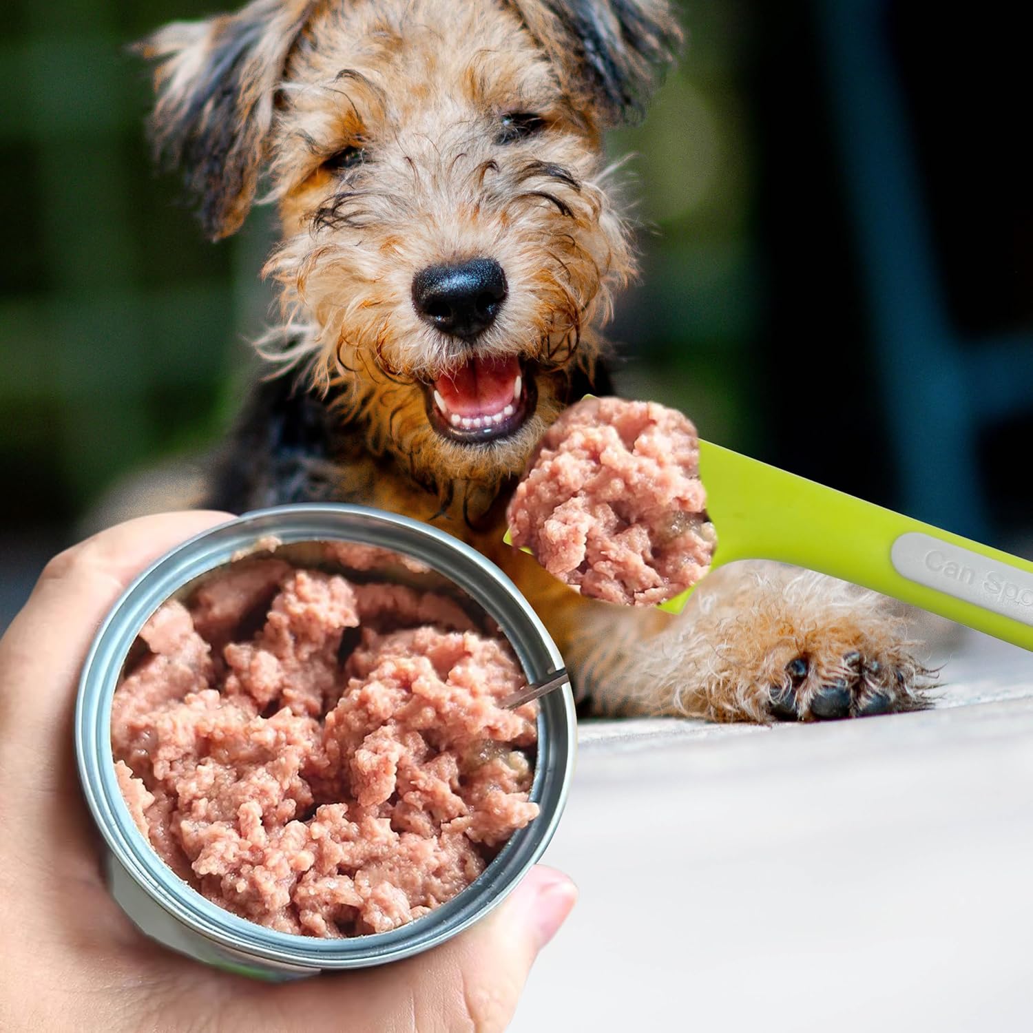 Tenalleys 3 Pcs Pet Food Can Supplies Scoop Food Canned Mixing Spoons Mini Spatula Spoon for Dogs and Cats